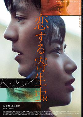 宫崎骏新作 在线播放电影星空